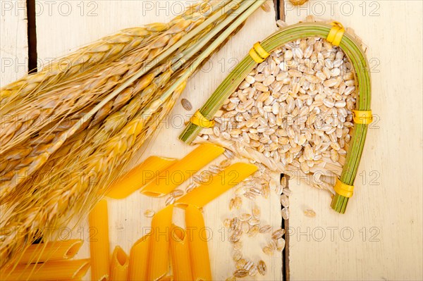 Short Italian pasta penne with durum wheat grains