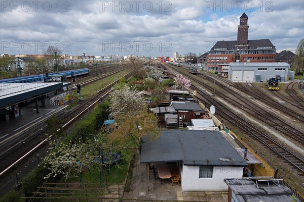 Allotment gardens in spring between the tracks