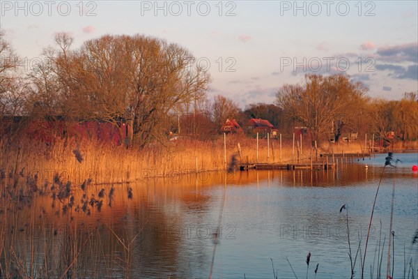 Evening mood on the shore of Lake Gartow