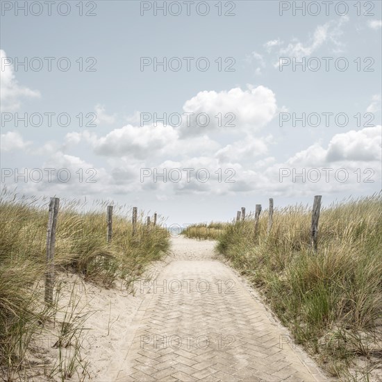 Stranduebergang mit Blick auf die Ostsee am Strand von Heiligenhafen