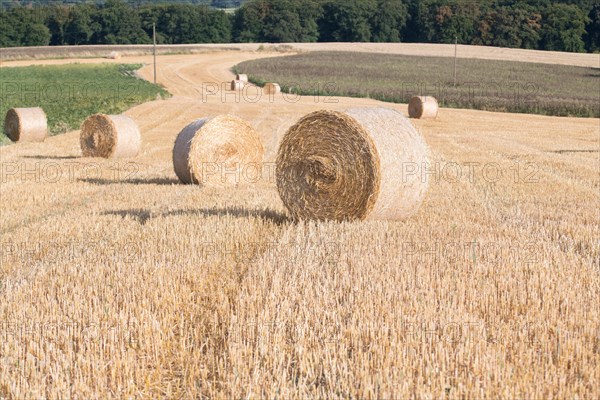 Straw bales