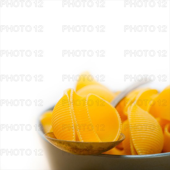 Raw Italian snail lumaconi pasta on a blue bowl over rustic table macro