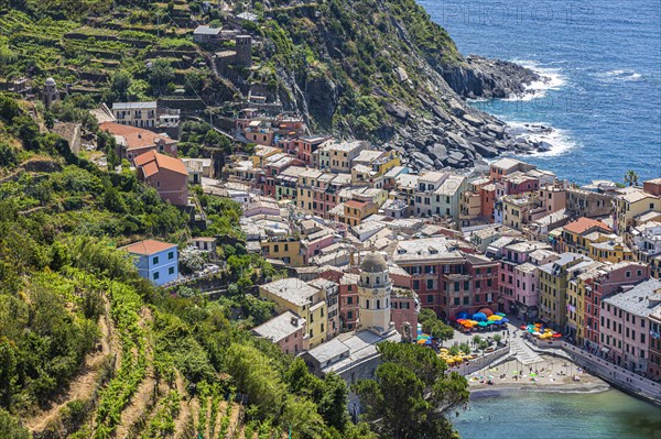 The village of Vernazza with its pastel-coloured houses built into the hillside