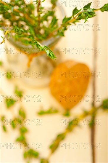 Fresh thyme on a glass jar over a white wood rustic table