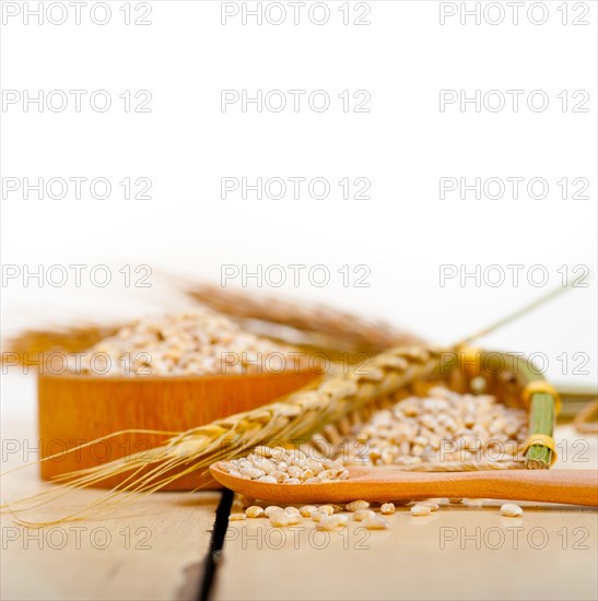 Organic wheat grains over rustic wood table macro closeup