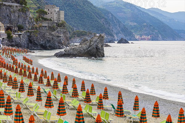 Sun loungers and parasols