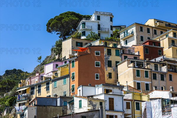 The village of Riomaggiore with its nested pastel-coloured houses built into the hillside