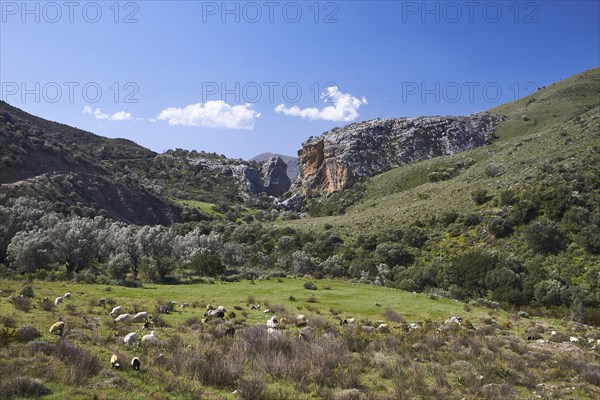 Spring in Crete