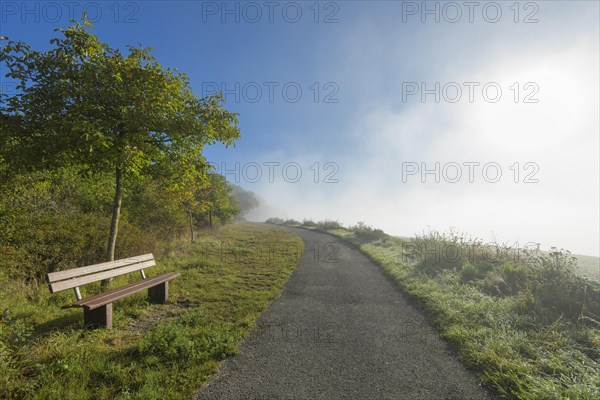 Path with bench and fog in autumn