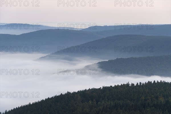 View from Katzenbuckel mountain with morning mist