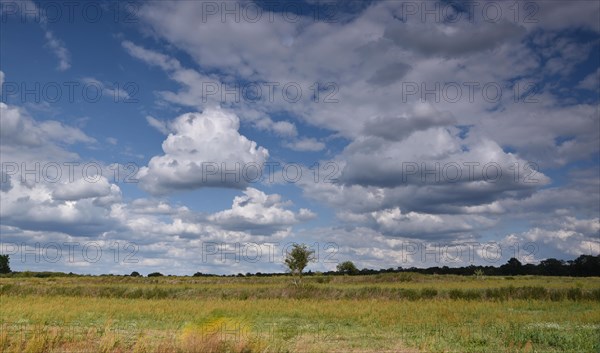 Former sewage field and blue sky with clouds in Gatow