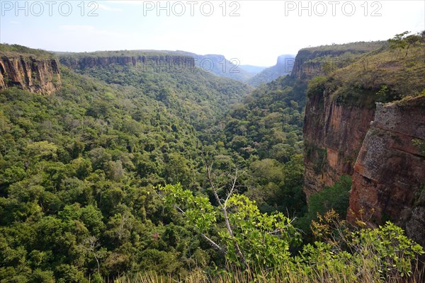 Gorge at the Veu da Noiva waterfall