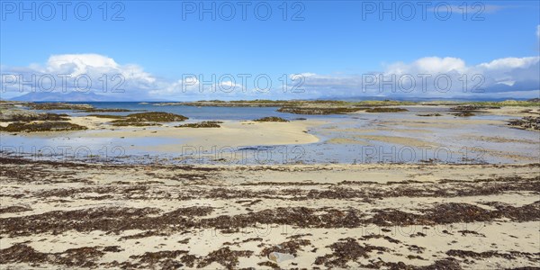 Scottish coast with beach in spring