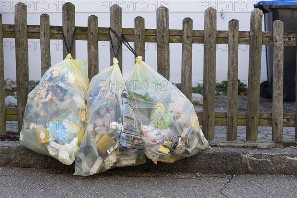 Yellow bags on a fence