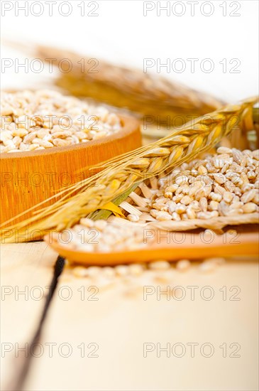 Organic barley grains over rustic wood table macro closeup