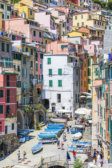 The village of Riomaggiore with its nested pastel-coloured houses built into the hillside