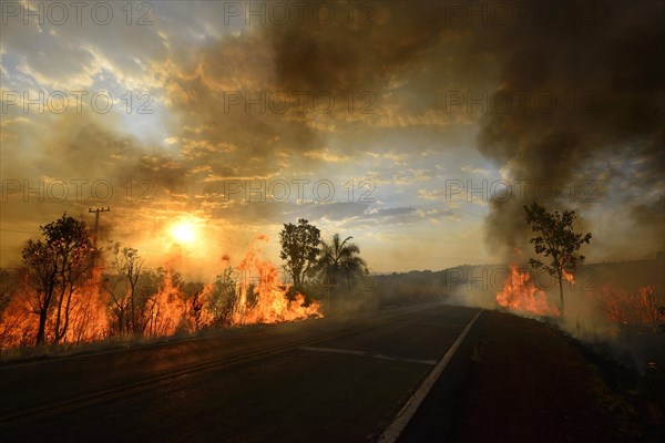 Bushfire on the main road 251 at sunset