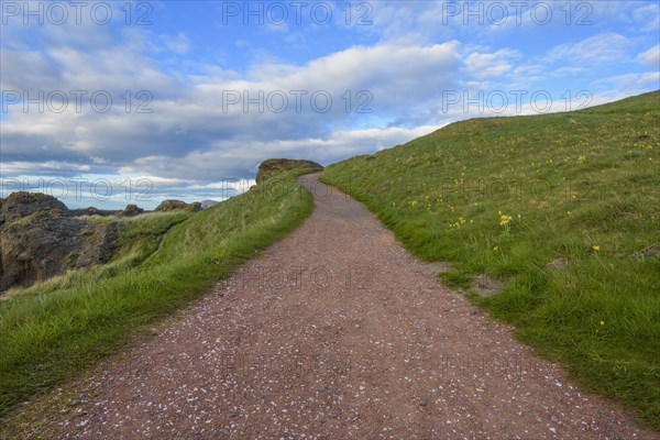 Coastal path