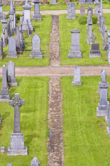 Grave plants on cemetery