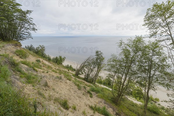 Steep coast at sunrise