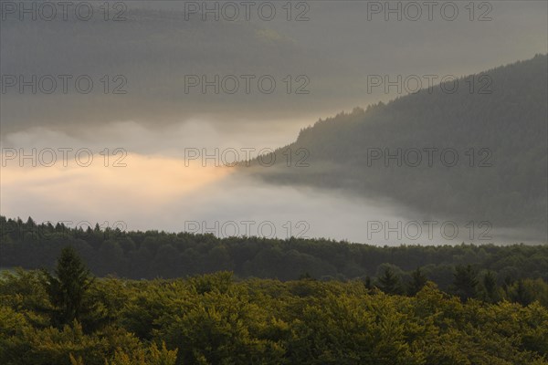 View from Katzenbuckel mountain with morning mist