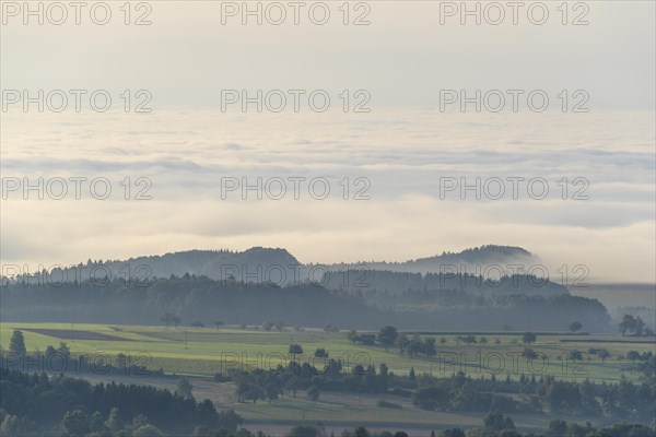 View from Katzenbuckel mountain with morning mist