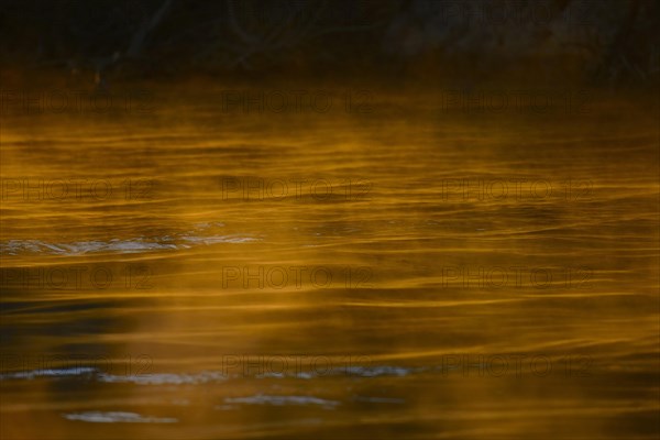 Haze on the Rio Sao Lourenco at sunrise