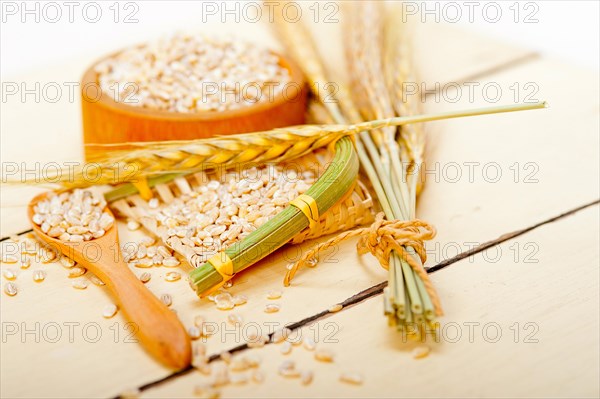 Organic barley grains over rustic wood table macro closeup