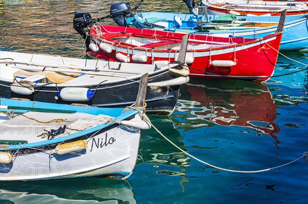 Colourful fishing boats reflected in the harbour of Vernazza