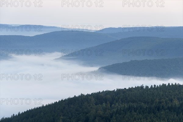View from Katzenbuckel mountain with morning mist