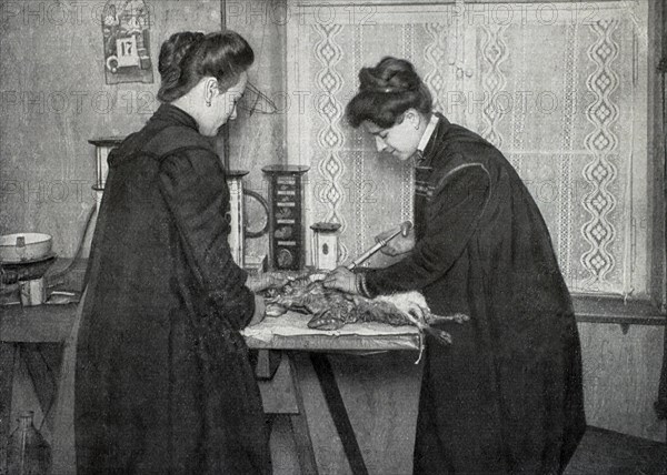 Two women paeperieren a dead animal