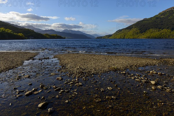 Lake shore in the spring