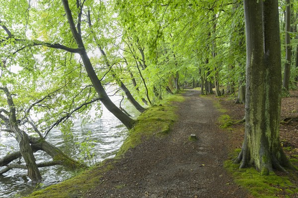 Away on the lake shore in the summer