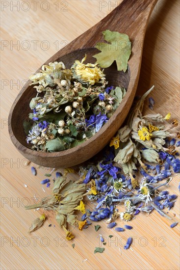 Tea mixture in wooden ladle and medicinal plants