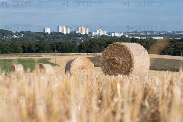 Straw bales