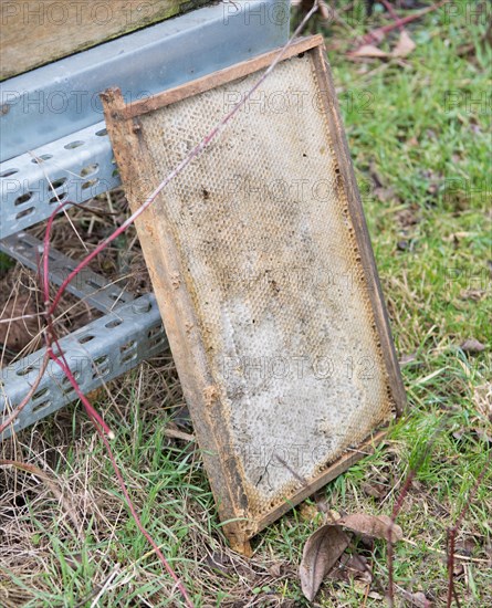 Bee boxes