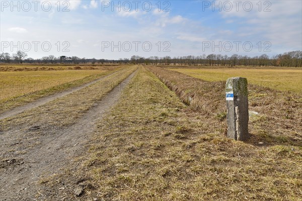 Hiking trail in spring on the former Karolinenhoehe sewage farm