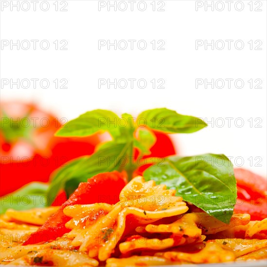 Italian pasta farfalle butterfly bow-tie with tomato basil sauce over white rustic wood table