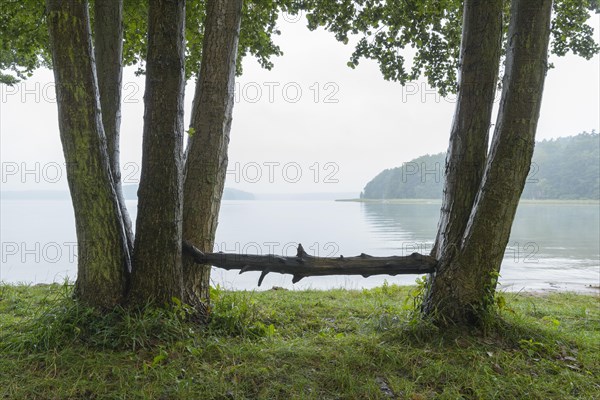 Lakeside after rain in the morning