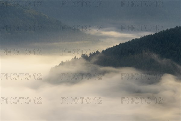 View from Katzenbuckel mountain with morning mist