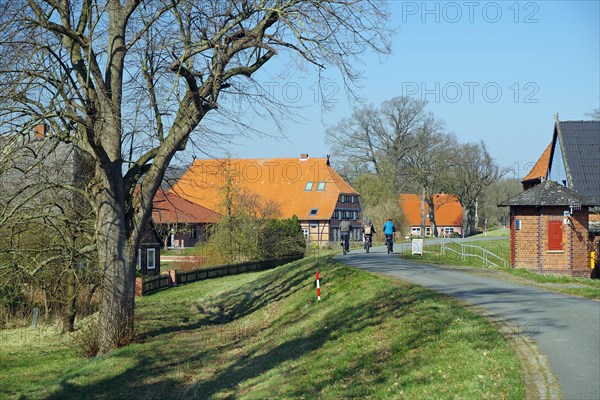 Cyclist on the dike in front of the house and the Elbe