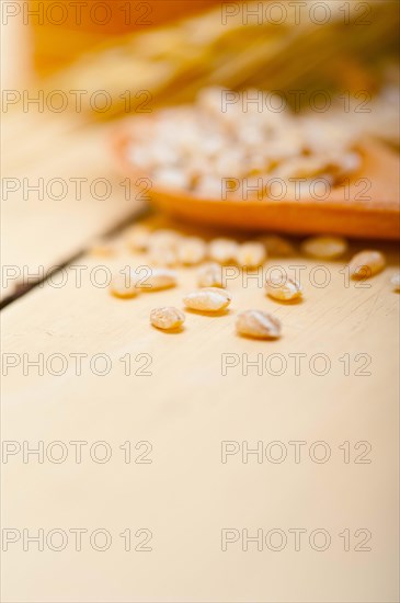 Organic barley grains over rustic wood table macro closeup