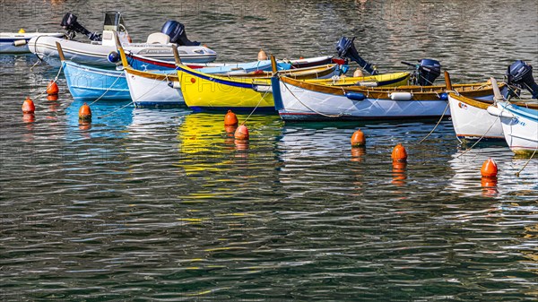 Colourful fishing boats attached to buoys are reflected in the harbour of Vernazza