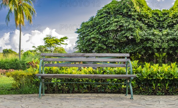 A lonely bench in a park