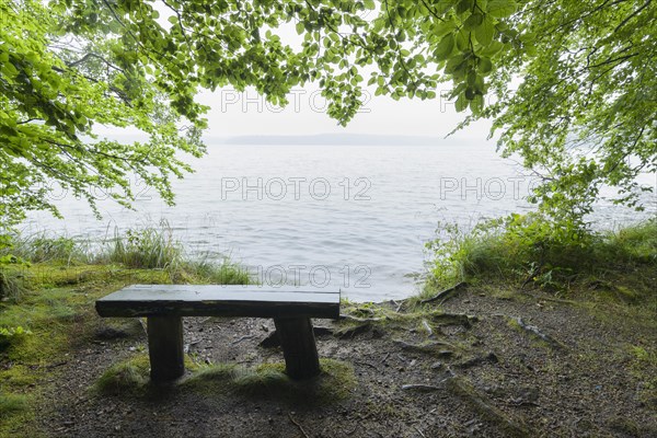 Bench on lake in the morning