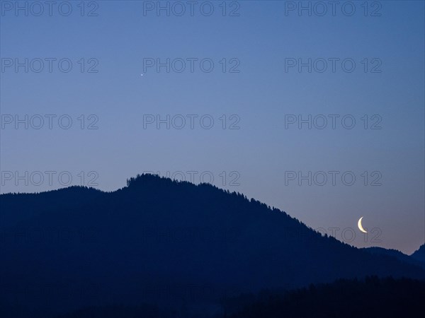Crescent moon at dawn over a forest