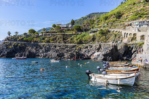 Colourful fishing boats reflected in the water in the harbour of Manarola