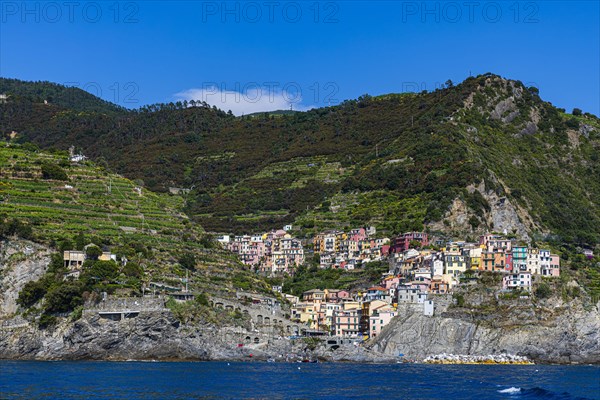 The village of Manarola with its nested pastel-coloured houses built into the hillside