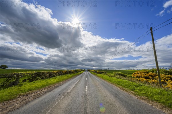 Countryroad with sun in spring