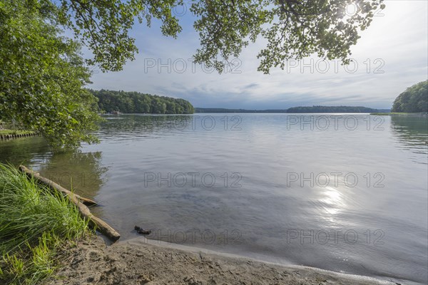 Lakeside in summer